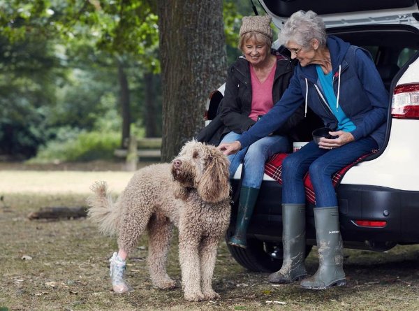 Motability