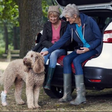 Motability AI Block